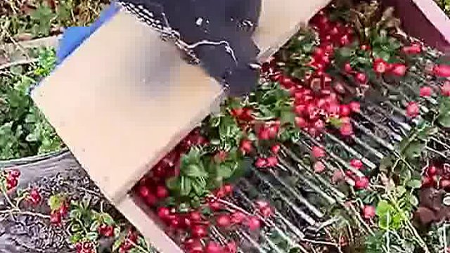 效率提升了好几倍