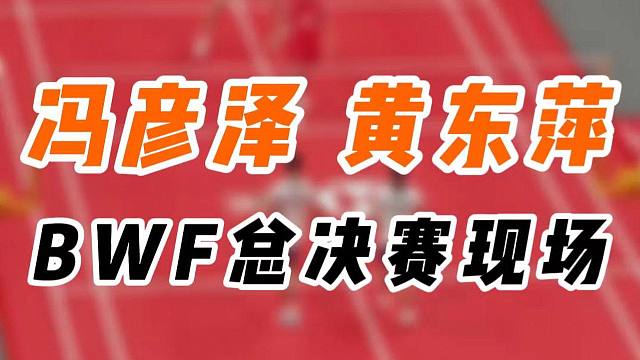 冯彦泽黄东萍小组赛现场集锦！2025BWF杭州总决赛现场剪辑版