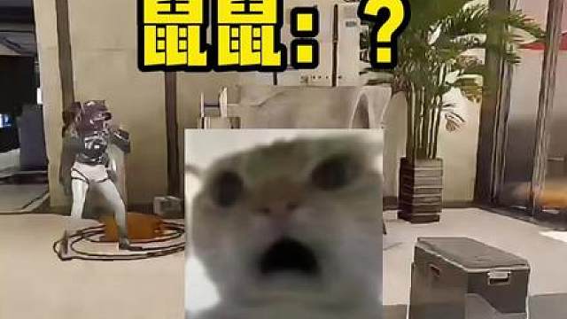 关于我用六头在航天创业，雇佣到扫地机器人小姐来清图 得吃的鼠！