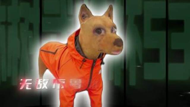 林树武将杯S3 你将看到的群魔乱舞