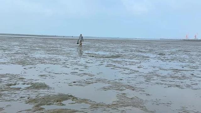 这么多年第一次碰到这么大的收获，和老王捡点回去刺身尝尝。  ​