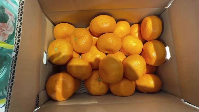 买了一箱橘子里有个坏的怎么办