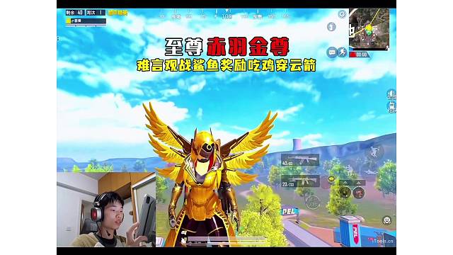 鲨鱼谈论至尊版黄金风衣