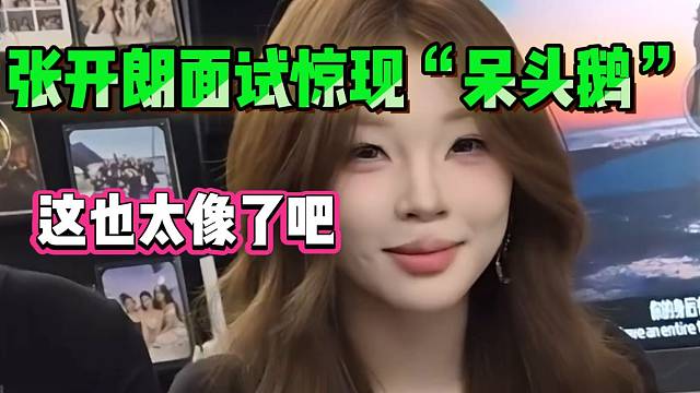 张开朗面试现场惊现“呆头鹅”，众人纷纷惊讶！