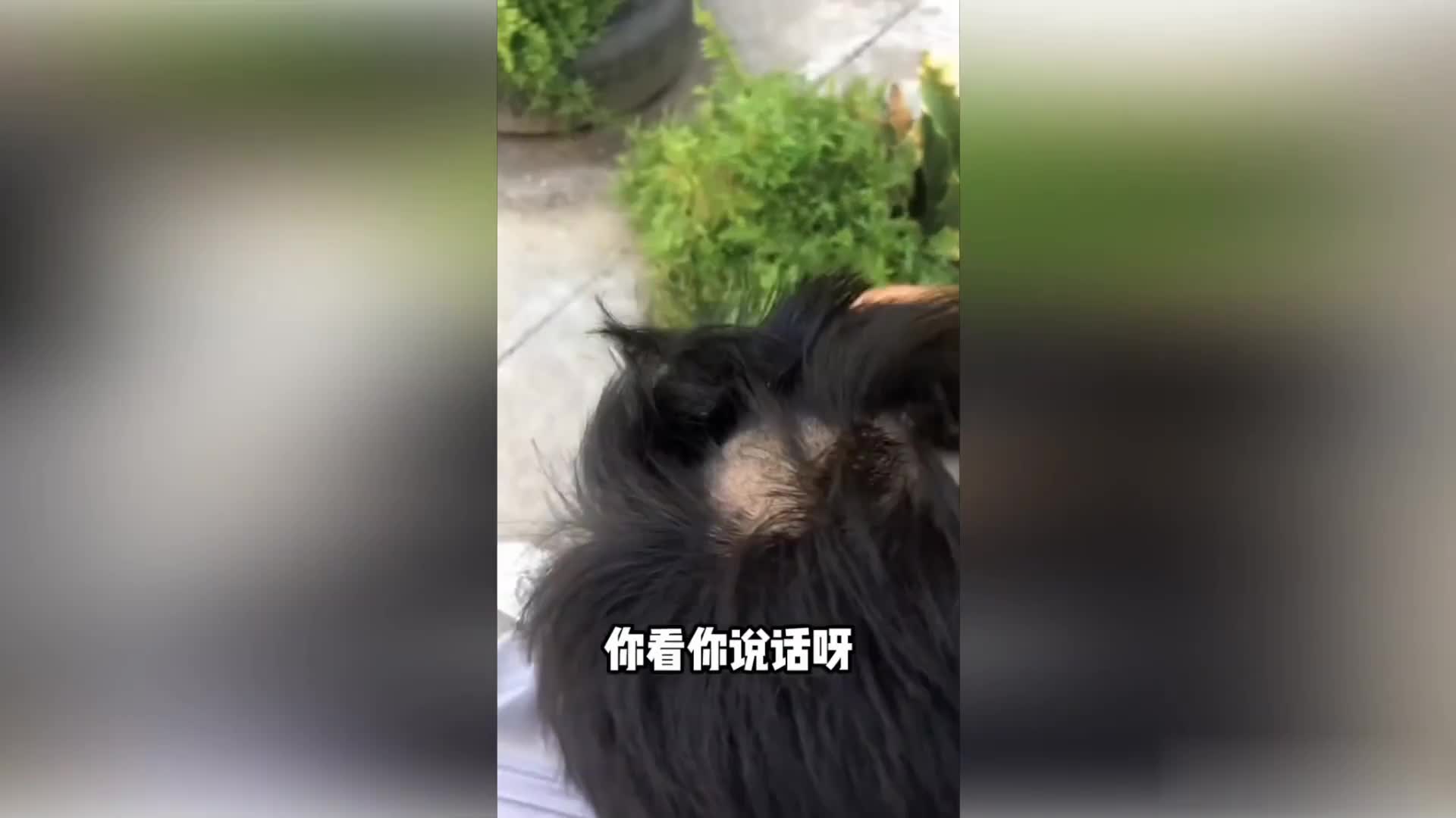 哥们一起避雨不