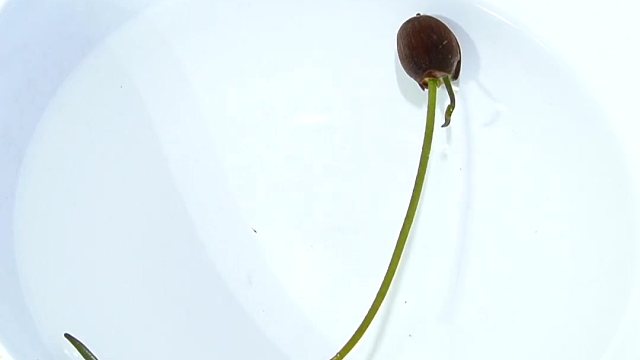 生活手工改造，简单又实用的小妙招！