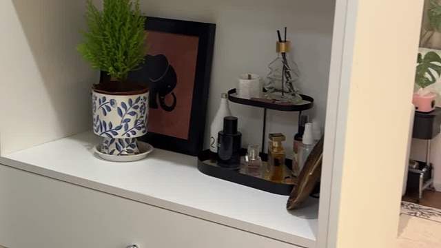 麻雀虽小 五脏俱全