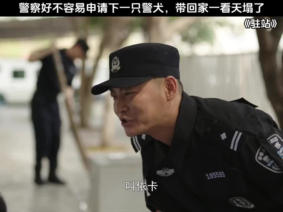 带回家一看天塌了