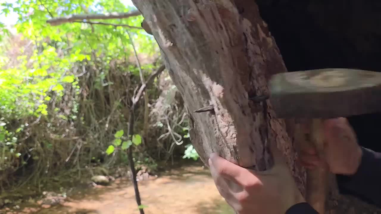 助眠-荒野建造 “钢蛋利用上古神树，搭建了一个树洞庇护所，吃烤鱼” (3)