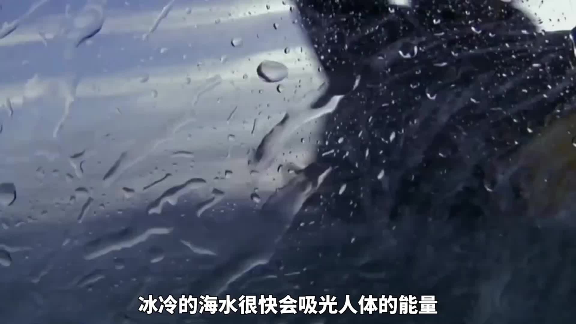 贝爷苏格兰海岸荒野求生，捡到头几十斤海豹，吃上鳟鱼刺身 (1)