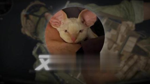 百万奖金我又来啦！！