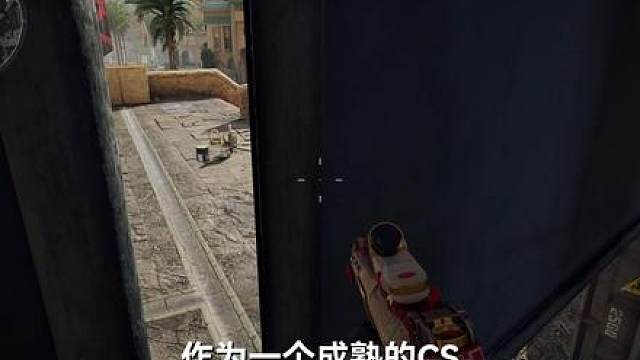 关于我在巴克什钓鱼，不小心手炮团灭一队这件事