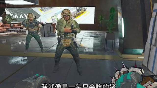 当蜂医遇到好大哥