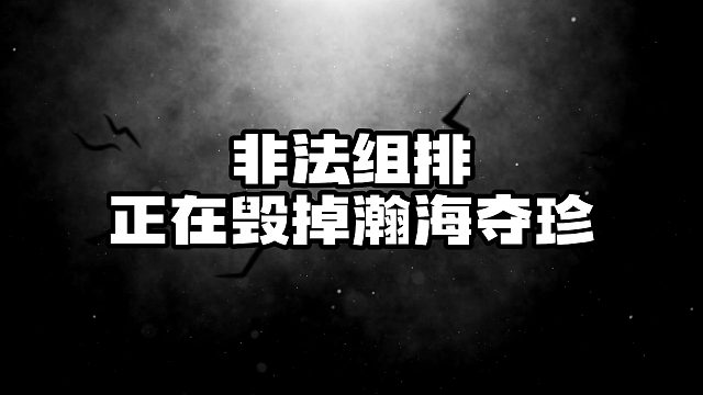 非法组队正在毁掉瀚海夺珍