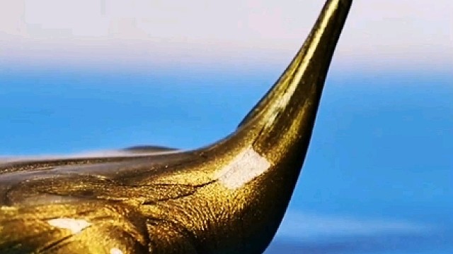 这不是魔术，这是科学小实验