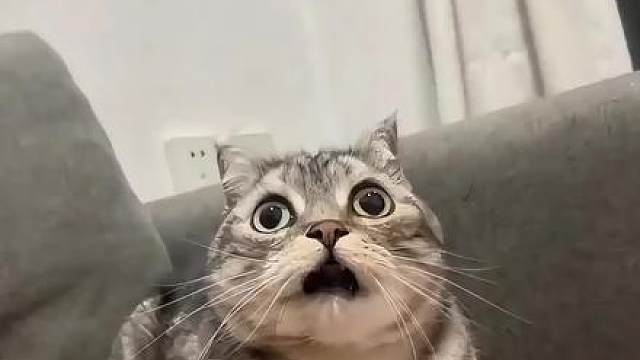 经典之作上线手游！鹅鸭杀这波重现江湖！