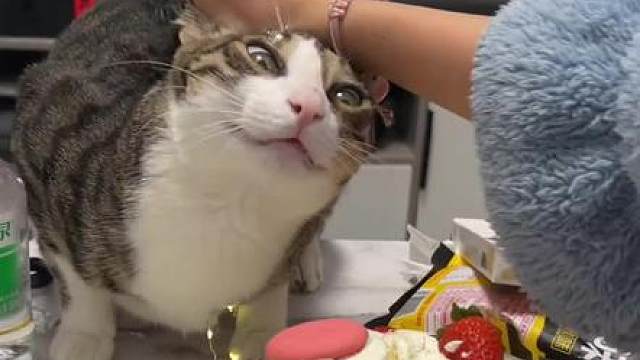 《鹅鸭杀》手游上线，这波友谊该 “杀” 回来了！