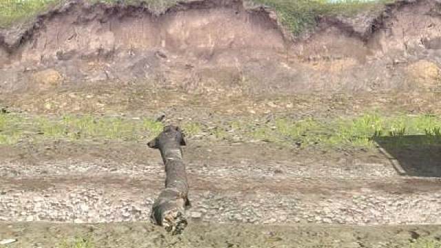 旋转轮胎泥泞奔驰