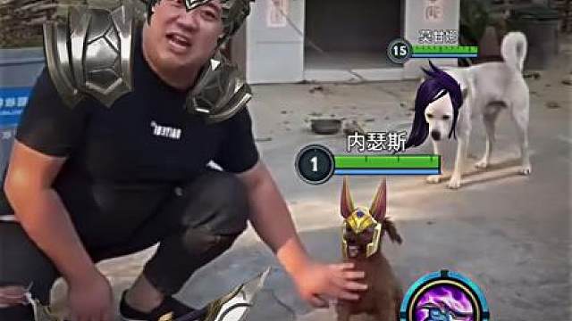 狗头：一想到接下来会发生什么就想笑