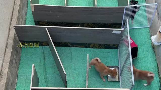 走最快的路，还是走自己选择的路，还是打破规矩！