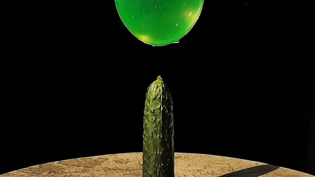 这不是魔术，这是科学小实验
