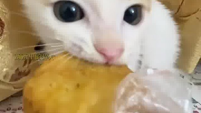 你花钱没？就抢我鸡块。算了，给你吃吧