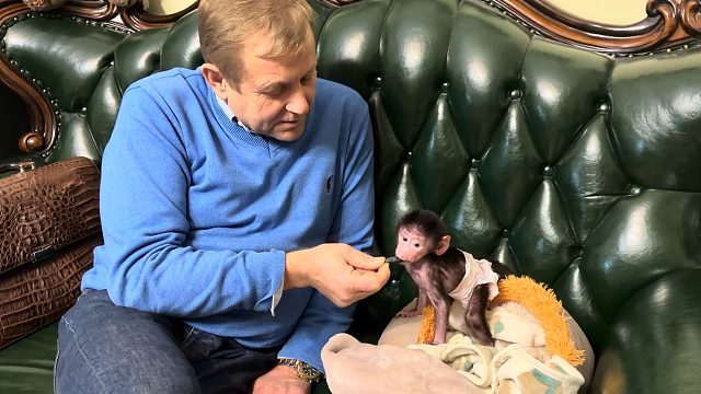 奥列格园长喂救助小狒狒吃葡萄干