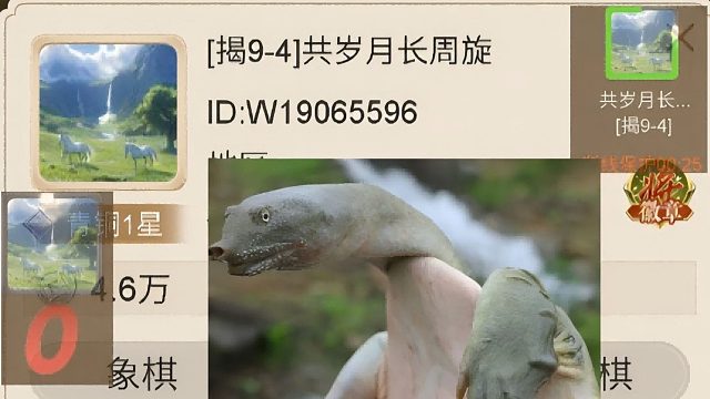 揭棋-断线狗系列-一只奇葩的脑回路异常的9-4