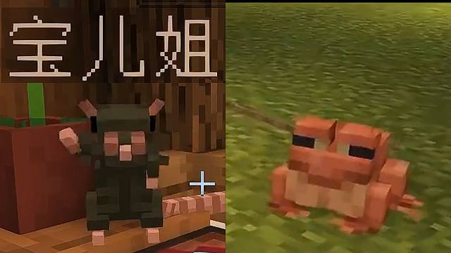 【桶子哥MC】鼠 与 蛙