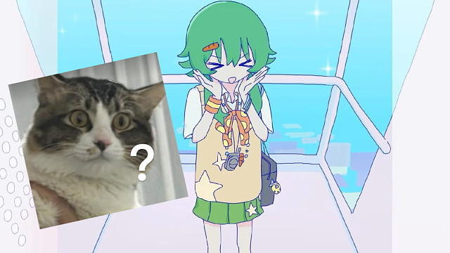 小猫也想和我一起唱I Can't Wait【辣条音翻唱】