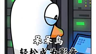 零失誤呆呆鳥玩法，從茍活到歸票全秘籍