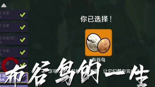 新手教学——布谷鸟的一生