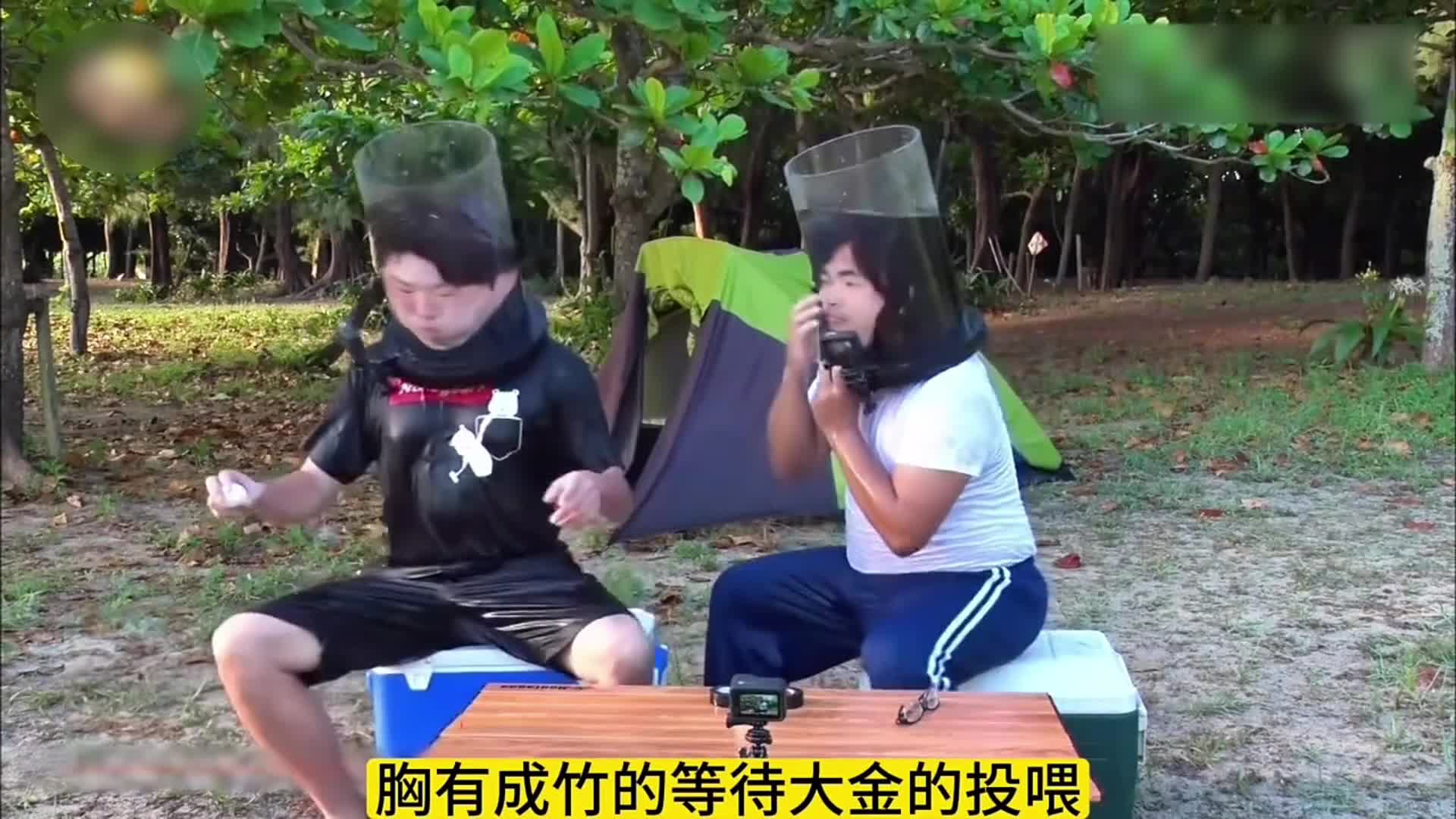 水中吃鸡蛋游戏
