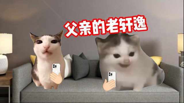 《父亲的老轩逸》