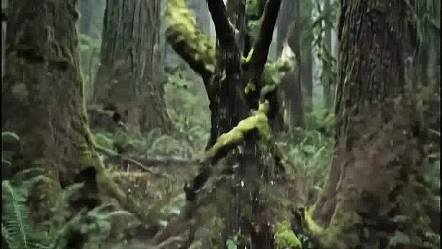 在户外，你想带哪一个小屋胶囊呢？