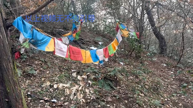 野外大探险