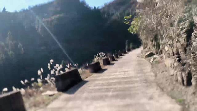 小毛驴20公里达山顶