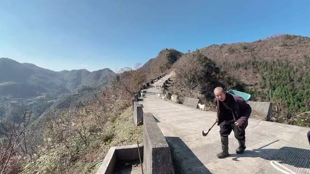 准备买一只山羊肉