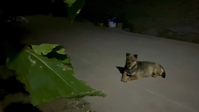 我发布了一个新视频，快来围观吧！