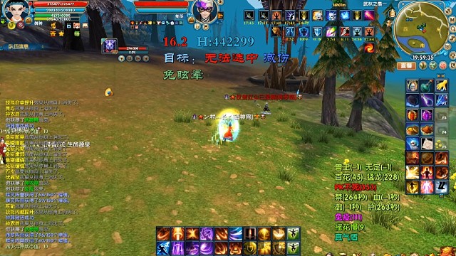 圣御神武林之巅战斗视频