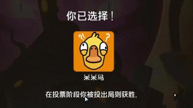 路人局总有人乱说话，呆呆鸟：我也来凑凑热闹！