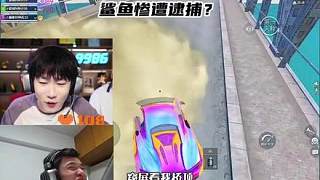 鯊魚(yú)不求人