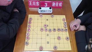 2026年瑞安市棋王賽8進4-下-王川東先勝謝佐松