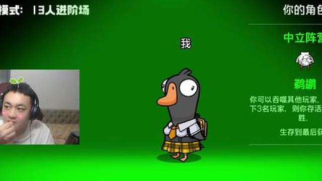 还有谁抽到过鹈鹕！