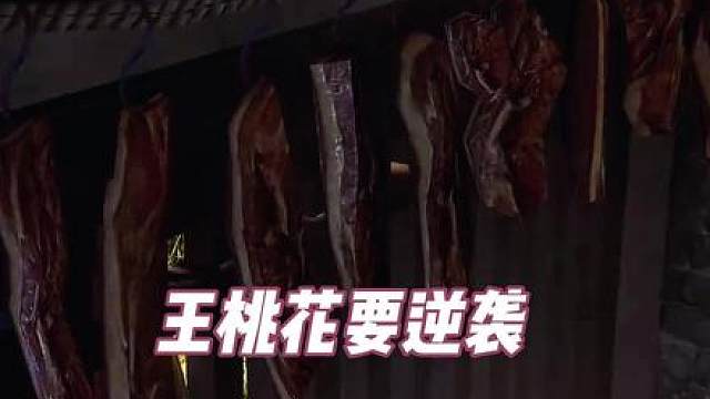 【294】 王桃花要逆袭294-有肉但是你不配