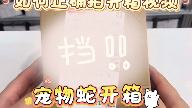 如何正确拍摄宠物蛇开箱视频