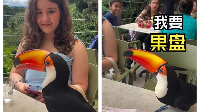 那些动物们的用餐时间！