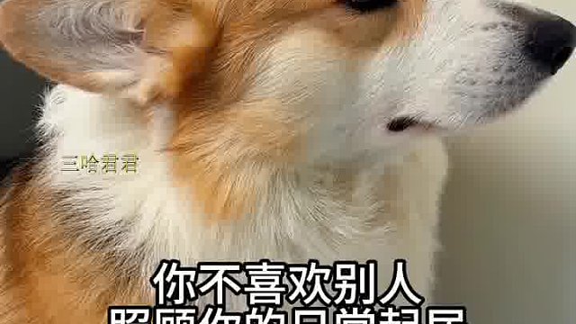 我就是想整个男保姆！