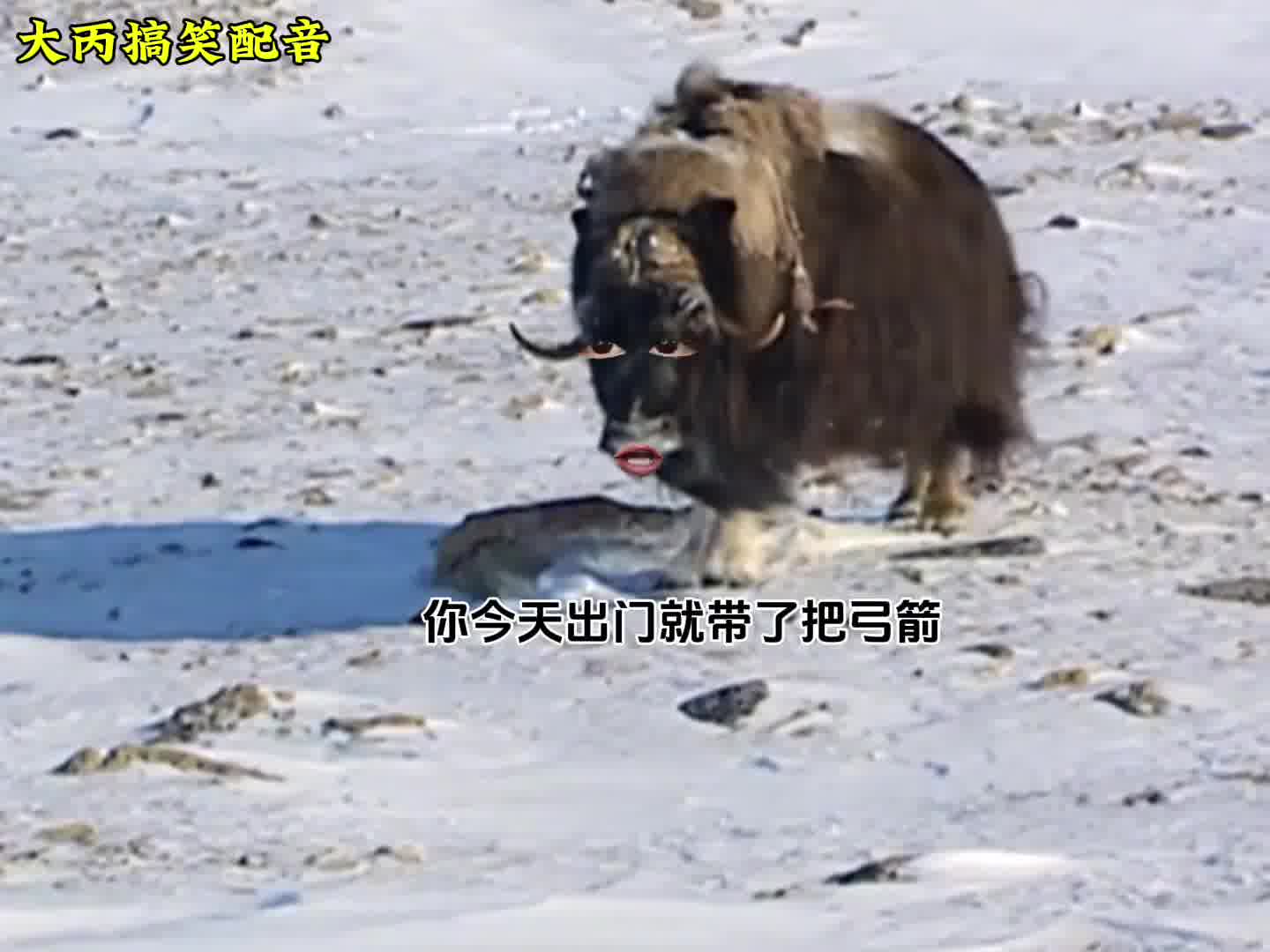 牛牛：谁给我点的针灸？