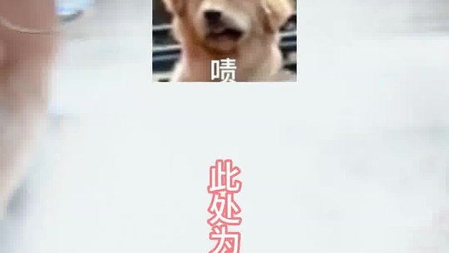 男人的花期真的很短暂吗